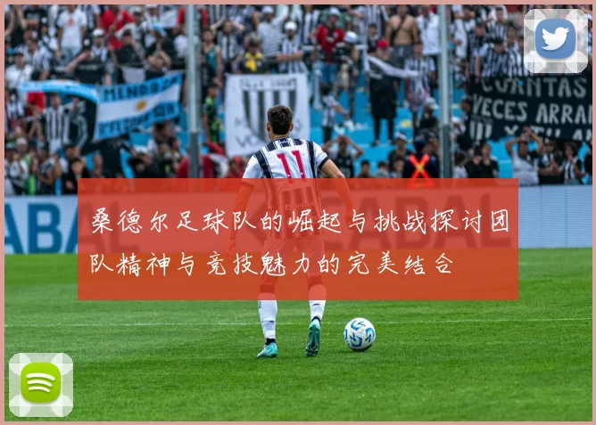 桑德尔足球队的崛起与挑战探讨团队精神与竞技魅力的完美结合